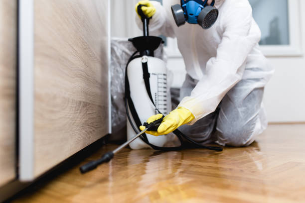 Best Best Pest Control Companies  in University Park, IL