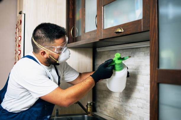 Best Residential Pest Control  in University Park, IL