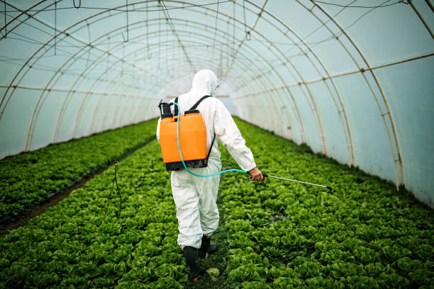 Best Pest Prevention Services  in University Park, IL