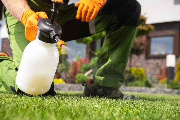 University Park, IL Pest Control Company