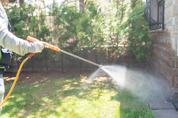Best Insect Control  in University Park, IL