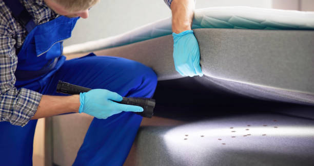 Best Emergency Pest Control  in University Park, IL