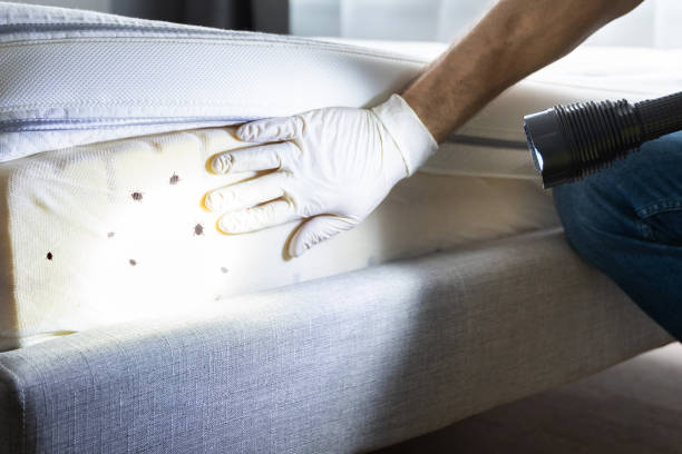 Pest Control Cost in University Park, IL