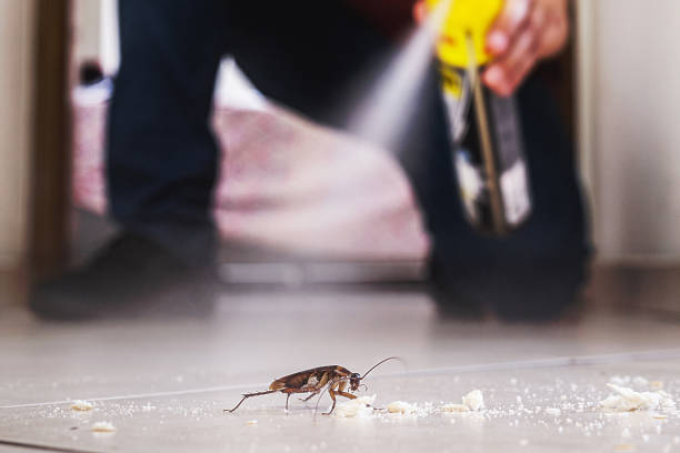 Best Commercial Pest Control Services  in University Park, IL