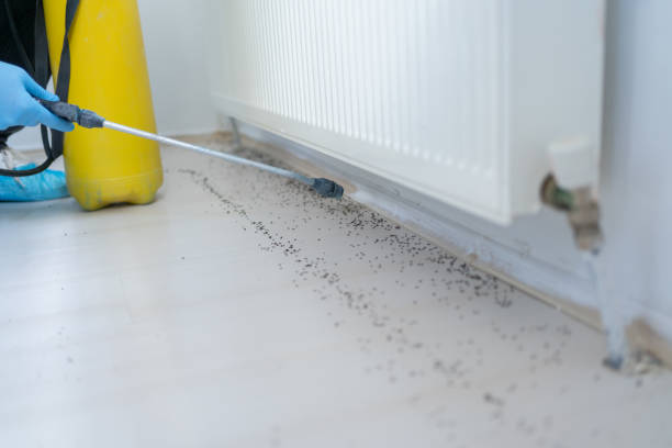 Professional Pest Control in University Park, IL