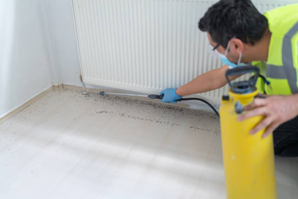 Best Pest Control Treatment  in University Park, IL